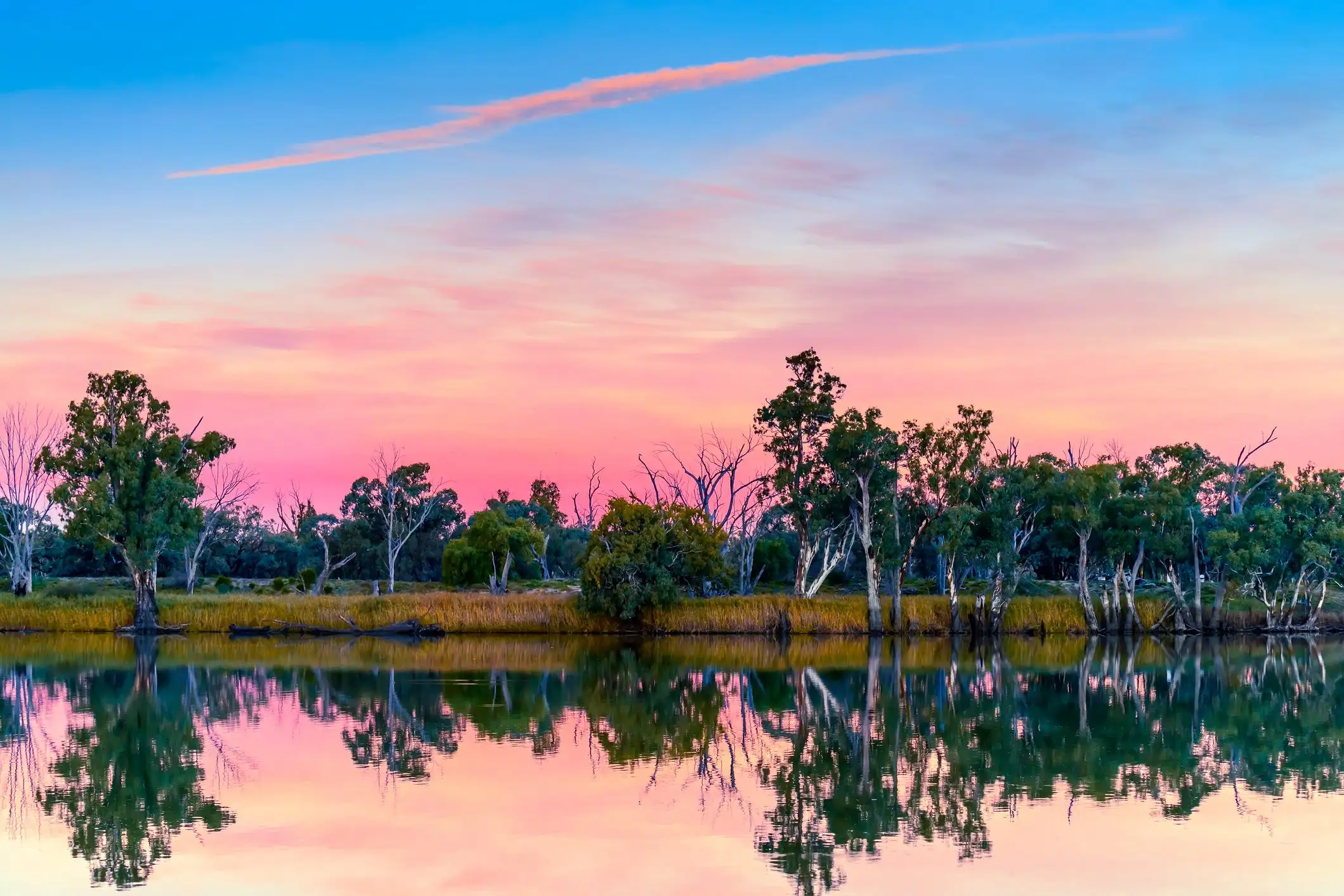 Murray river at sunset, Riverland, South Australia Murray river shores reflected in water at sunset, Riverland, rural South Australia