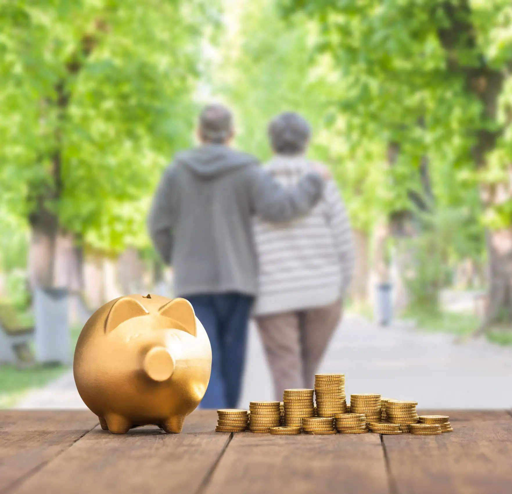 Affordable Retirement Living Cost-Efficient Homes in the Riverland Affordable Retirement Living Cost Efficient Homes in the Riverland