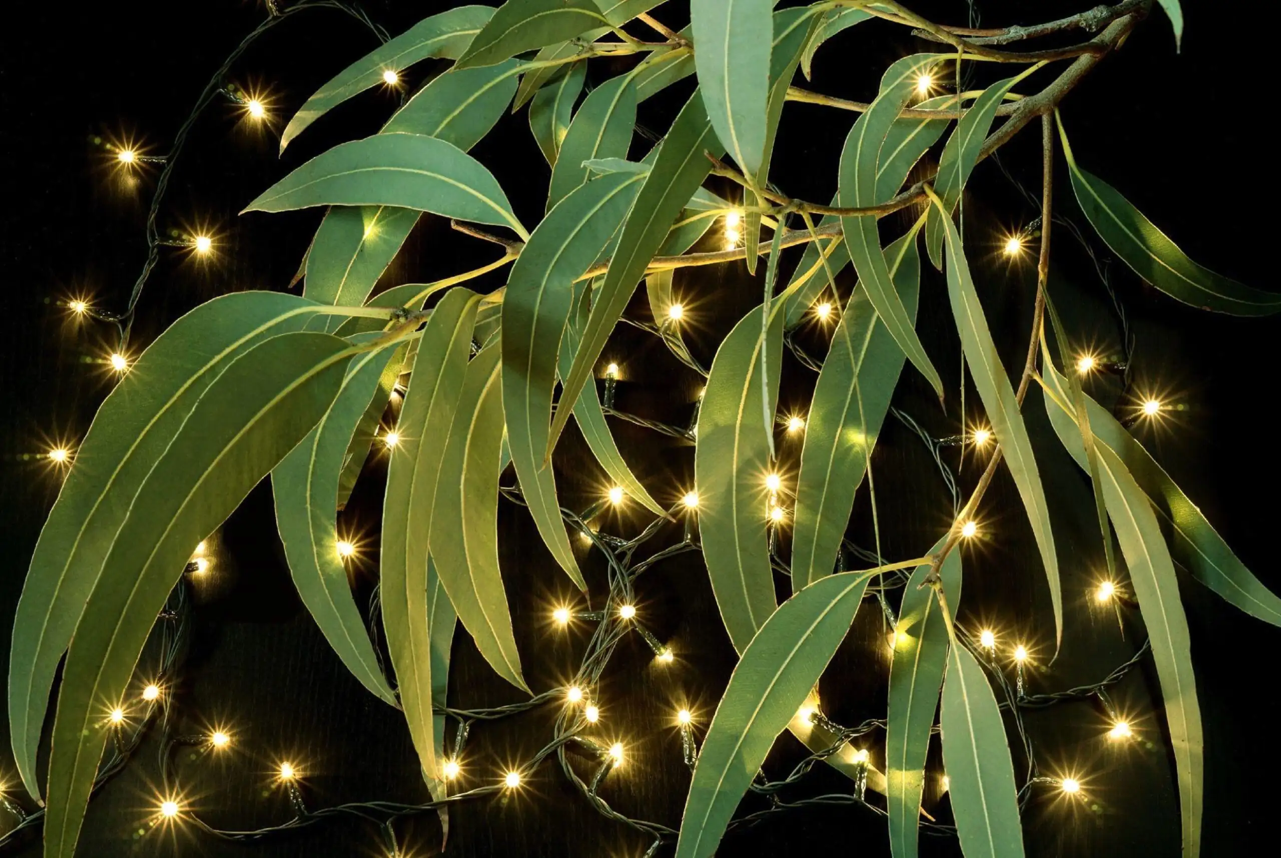 Safe and Stylish Lighting Tips Safe and Stylish Lighting Tips